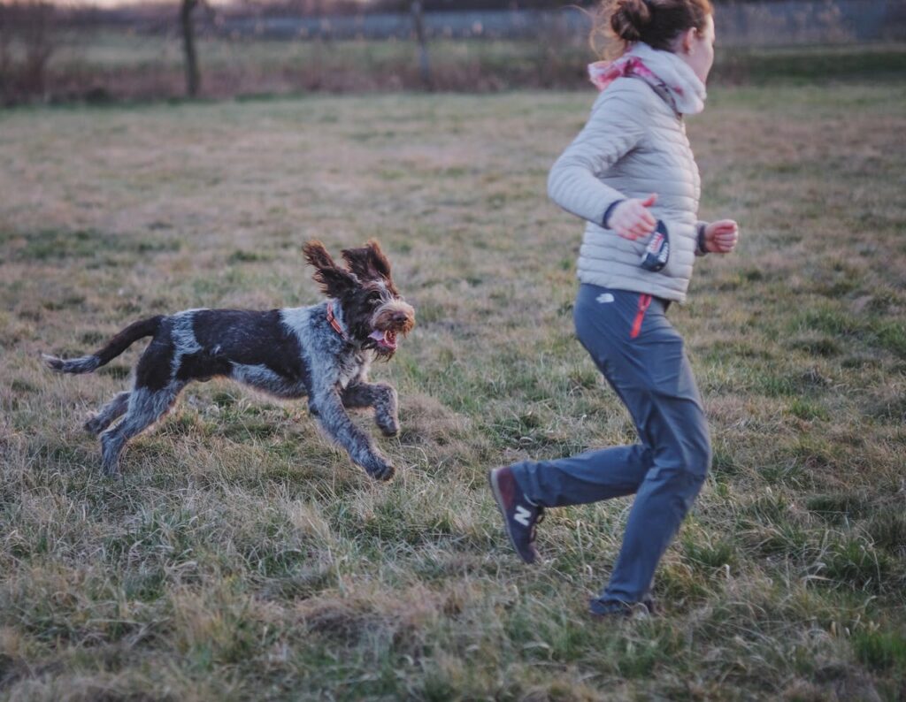 Woman playing with a dog in outdoor setting